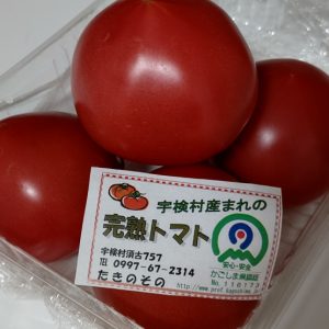 たきのそのトマト